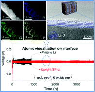 Graphical abstract: Arrayed silk fibroin for high-performance Li metal batteries and atomic interface structure revealed by cryo-TEM