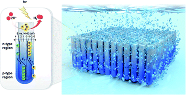 Graphical abstract: Electric field-driven one-step formation of vertical p–n junction TiO2 nanotubes exhibiting strong photocatalytic hydrogen production