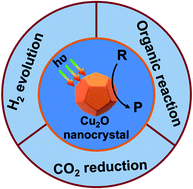 Graphical abstract: Well-defined Cu2O photocatalysts for solar fuels and chemicals
