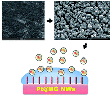 Graphical abstract: Highly efficient and robust catalysts for the hydrogen evolution reaction by surface nano engineering of metallic glass