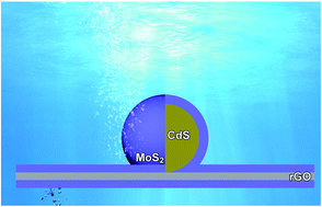 Graphical abstract: Stacking design in photocatalysis: synergizing cocatalyst roles and anti-corrosion functions of metallic MoS2 and graphene for remarkable hydrogen evolution over CdS