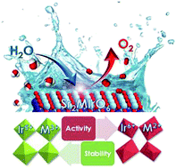 Graphical abstract: How oxidation state and lattice distortion influence the oxygen evolution activity in acid of iridium double perovskites