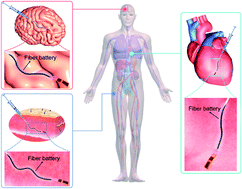 Graphical abstract: Injectable fiber batteries for all-region power supply in vivo