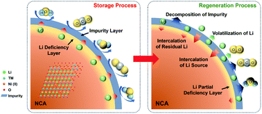 Graphical abstract: Revealing the degradation mechanism of Ni-rich cathode materials after ambient storage and related regeneration method