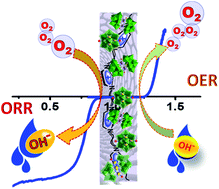 Graphical abstract: Tuning polyoxometalate composites with carbonaceous materials towards oxygen bifunctional activity