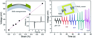 Graphical abstract: A self-powered 2D-material sensor unit driven by a SnSe piezoelectric nanogenerator