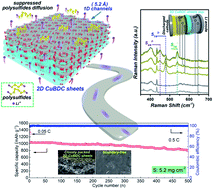 Graphical abstract: Two-dimensional metal–organic framework with perpendicular one-dimensional nano-channel as precise polysulfide sieves for highly efficient lithium–sulfur batteries