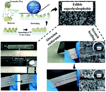 Graphical abstract: Durable mixed edible wax coating with stretching superhydrophobicity