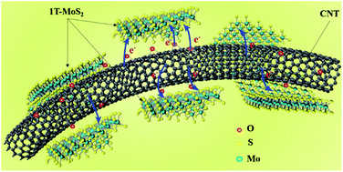 Graphical abstract: Thermally stable fishnet-like 1T-MoS2/CNT heterostructures with improved electrode performance