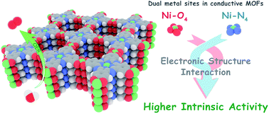 Graphical abstract: Two-dimensional conductive metal–organic frameworks with dual metal sites toward the electrochemical oxygen evolution reaction