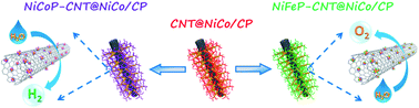 Graphical abstract: A hierarchical carbon nanotube forest supported metal phosphide electrode for efficient overall water splitting