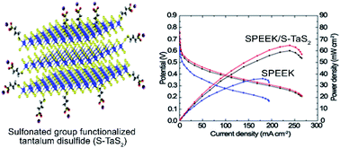 Graphical abstract: Functionalized metallic transition metal dichalcogenide (TaS2) for nanocomposite membranes in direct methanol fuel cells