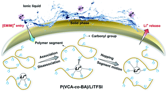 Graphical abstract: Dual Li-ion migration channels in an ester-rich copolymer/ionic liquid quasi-solid-state electrolyte for high-performance Li–S batteries