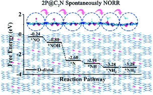 Graphical abstract: Efficient nitric oxide reduction to ammonia on a metal-free electrocatalyst