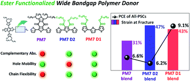 Graphical abstract: Ester-functionalized, wide-bandgap derivatives of PM7 for simultaneous enhancement of photovoltaic performance and mechanical robustness of all-polymer solar cells