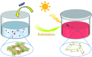 Graphical abstract: Exfoliated conjugated porous polymer nanosheets for highly efficient photocatalytic hydrogen evolution