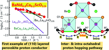 Graphical abstract: High-temperature proton conductors based on the (110) layered perovskite BaNdScO4