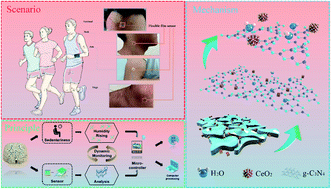 Graphical abstract: Flexible wearable humidity sensor based on cerium oxide/graphitic carbon nitride nanocomposite self-powered by motion-driven alternator and its application for human physiological detection