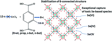 Graphical abstract: Alkylamino-terephthalate ligands stabilize 8-connected Zr4+ MOFs with highly efficient sorption for toxic Se species