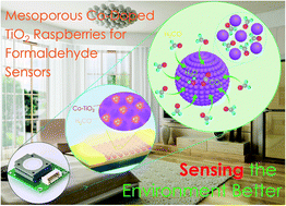 Graphical abstract: Raspberry-like mesoporous Co-doped TiO2 nanospheres for a high-performance formaldehyde gas sensor