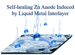 Graphical abstract: A liquid metal assisted dendrite-free anode for high-performance Zn-ion batteries