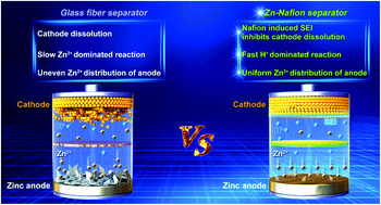 Graphical abstract: A cation selective separator induced cathode protective layer and regulated zinc deposition for zinc ion batteries