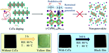 Graphical abstract: High-efficiency and thermal/moisture stable CsPbI2.84Br0.16 inorganic perovskite solar cells enabled by a multifunctional cesium trimethylacetate organic additive