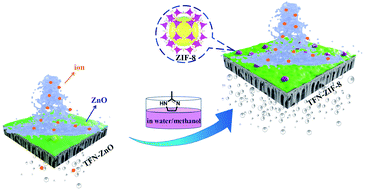 Graphical abstract: In situ conversion of ZnO into zeolitic imidazolate framework-8 in polyamide layers for well-structured high-permeance thin-film nanocomposite nanofiltration membranes