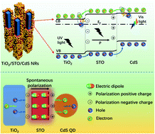 Graphical abstract: Dual-regulation charge separation strategy with the synergistic effect of 1D/0D heterostructure and inserted ferroelectric layer for boosting photoelectrochemical water oxidation