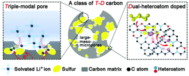 Graphical abstract: Promoting sulphur conversion chemistry with tri-modal porous N, O-codoped carbon for stable Li–S batteries
