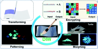 Graphical abstract: Patterning, morphing, and coding of gel composites by direct ink writing