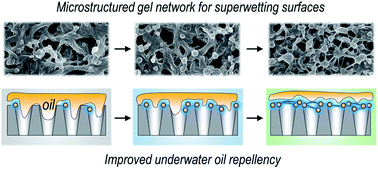 Graphical abstract: Surface engineering with microstructured gel networks for superwetting membranes