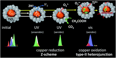 Graphical abstract: On the mechanism of photocatalytic reactions on CuxO@TiO2 core–shell photocatalysts