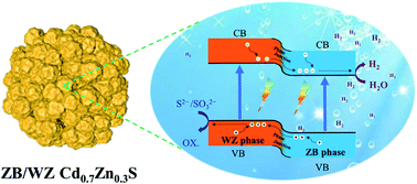 Graphical abstract: Engineering highly active Cd1−xZnxS nanopopcorns via zinc blende/wurtzite phase junctions for enhanced photocatalytic H2 evolution without a co-catalyst