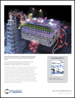 Graphical abstract: Inside back cover