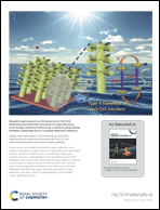 Graphical abstract: Inside back cover