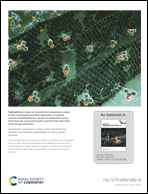 Graphical abstract: Back cover