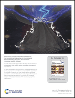 Graphical abstract: Inside back cover