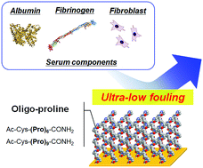 Graphical abstract: Surfaces immobilized with oligo-prolines prevent protein adsorption and cell adhesion