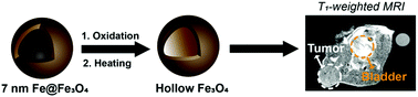 Graphical abstract: Renal-clearable zwitterionic conjugated hollow ultrasmall Fe3O4 nanoparticles for T1-weighted MR imaging in vivo