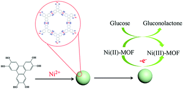 Graphical abstract: High-performance non-enzymatic glucose detection: using a conductive Ni-MOF as an electrocatalyst