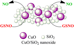 Graphical abstract: Nanosized copper(ii) oxide/silica for catalytic generation of nitric oxide from S-nitrosothiols