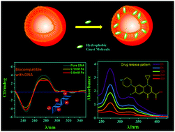 Graphical abstract: Magnetic proline-based ionic liquid surfactant as a nano-carrier for hydrophobic drug delivery