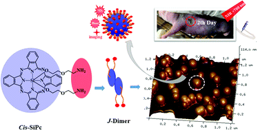 Graphical abstract: cis-Silicon phthalocyanine conformation endows J-aggregated nanosphere with unique near-infrared absorbance and fluorescence enhancement: a tumor sensitive phototheranostic agent with deep tissue penetrating ability