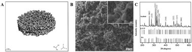 Graphical abstract: Joint construction of micro-vibration stimulation and BCP scaffolds for enhanced bioactivity and self-adaptability tissue engineered bone grafts