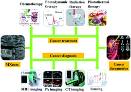 Graphical abstract: Engineering of 2D transition metal carbides and nitrides MXenes for cancer therapeutics and diagnostics