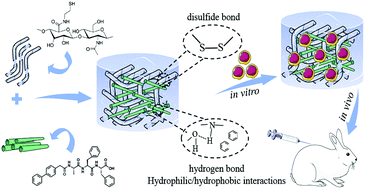 Graphical abstract: Bionic composite hydrogel with a hybrid covalent/noncovalent network promoting phenotypic maintenance of hyaline cartilage