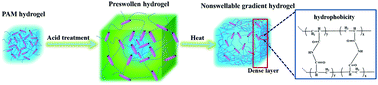 Graphical abstract: A nonswellable gradient hydrogel with tunable mechanical properties