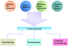 Graphical abstract: A nano-based thermotherapy for cancer stem cell-targeted therapy