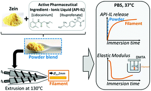 Graphical abstract: A drug delivery system obtained by hot-melt processing of zein plasticized by a pharmaceutically active ionic liquid